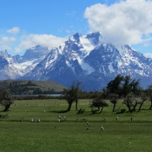 Torres del Paine